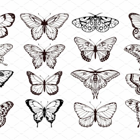 Butterfly silhouettes. Black outline cover image.