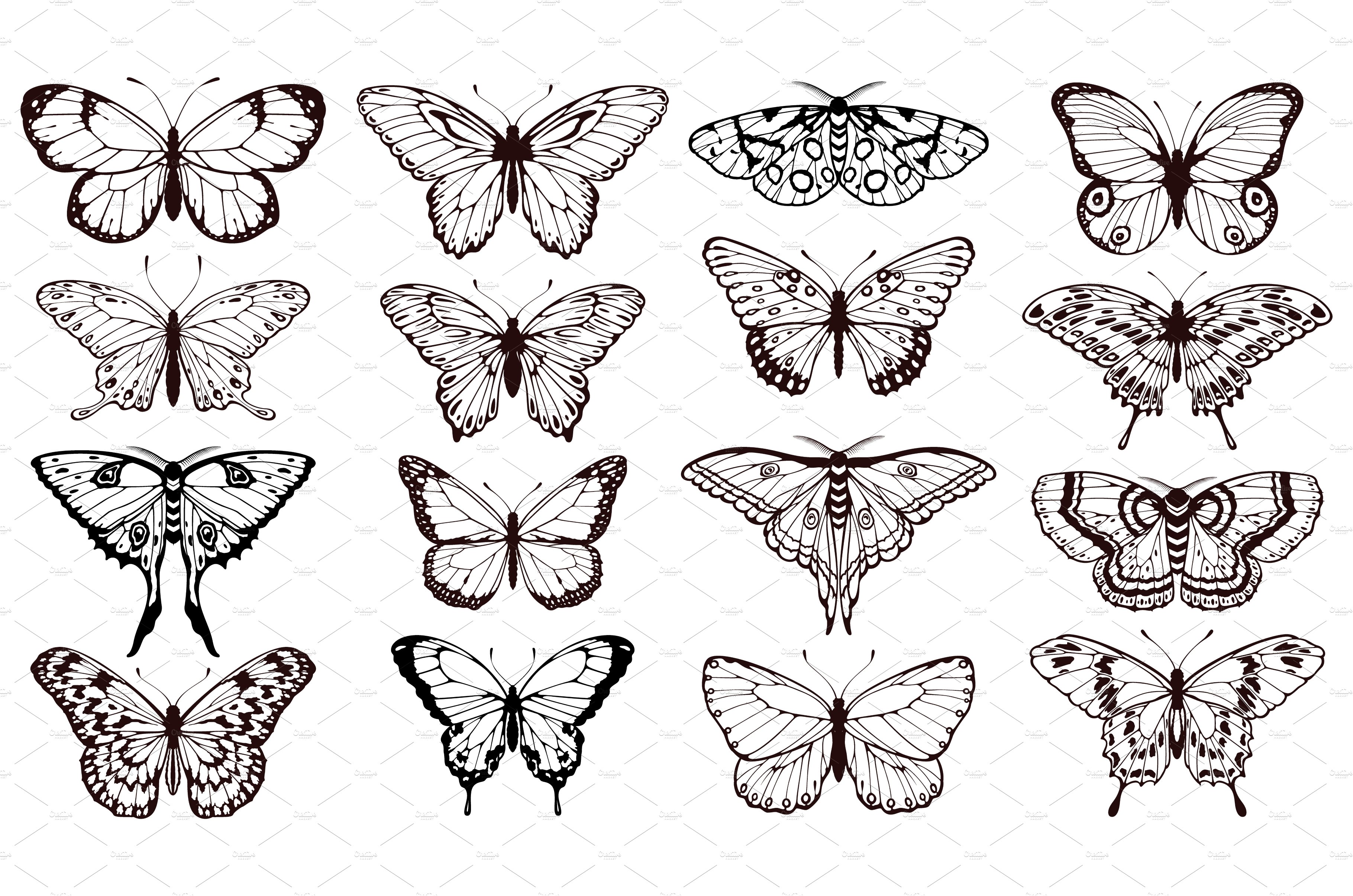 Butterfly silhouettes. Black outline cover image.
