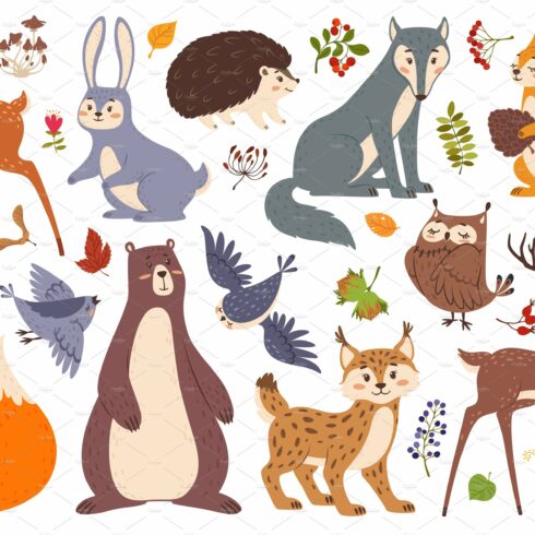 Forest wildlife animals and birds cover image.