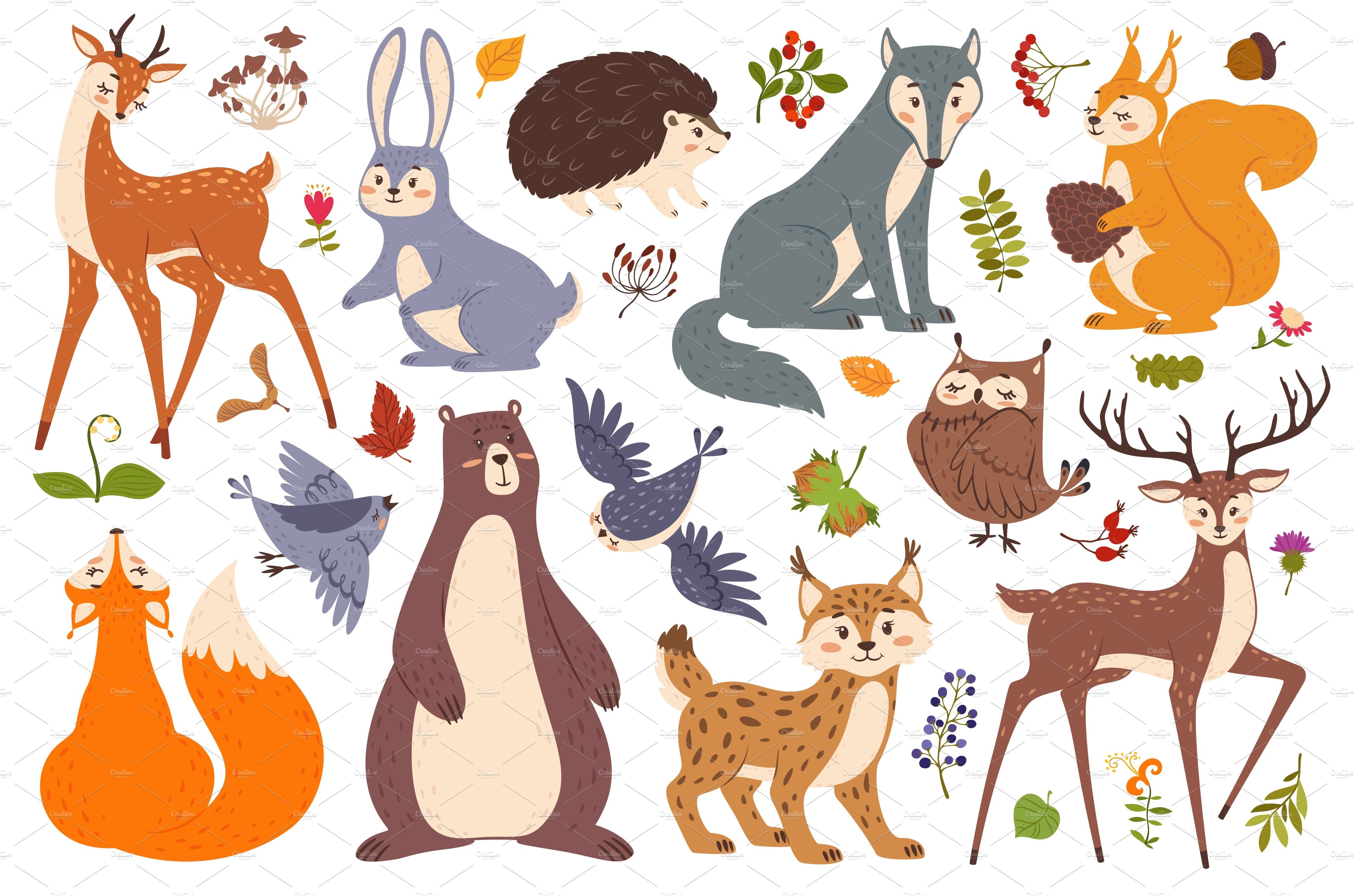 Forest wildlife animals and birds cover image.