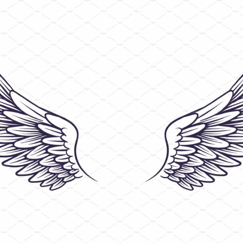Drawn wing. Angel wings with cover image.