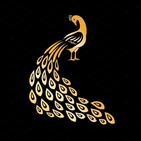 Gold peacock. Golden peafowl logo cover image.