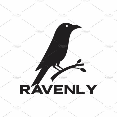 black little raven on branch logo cover image.