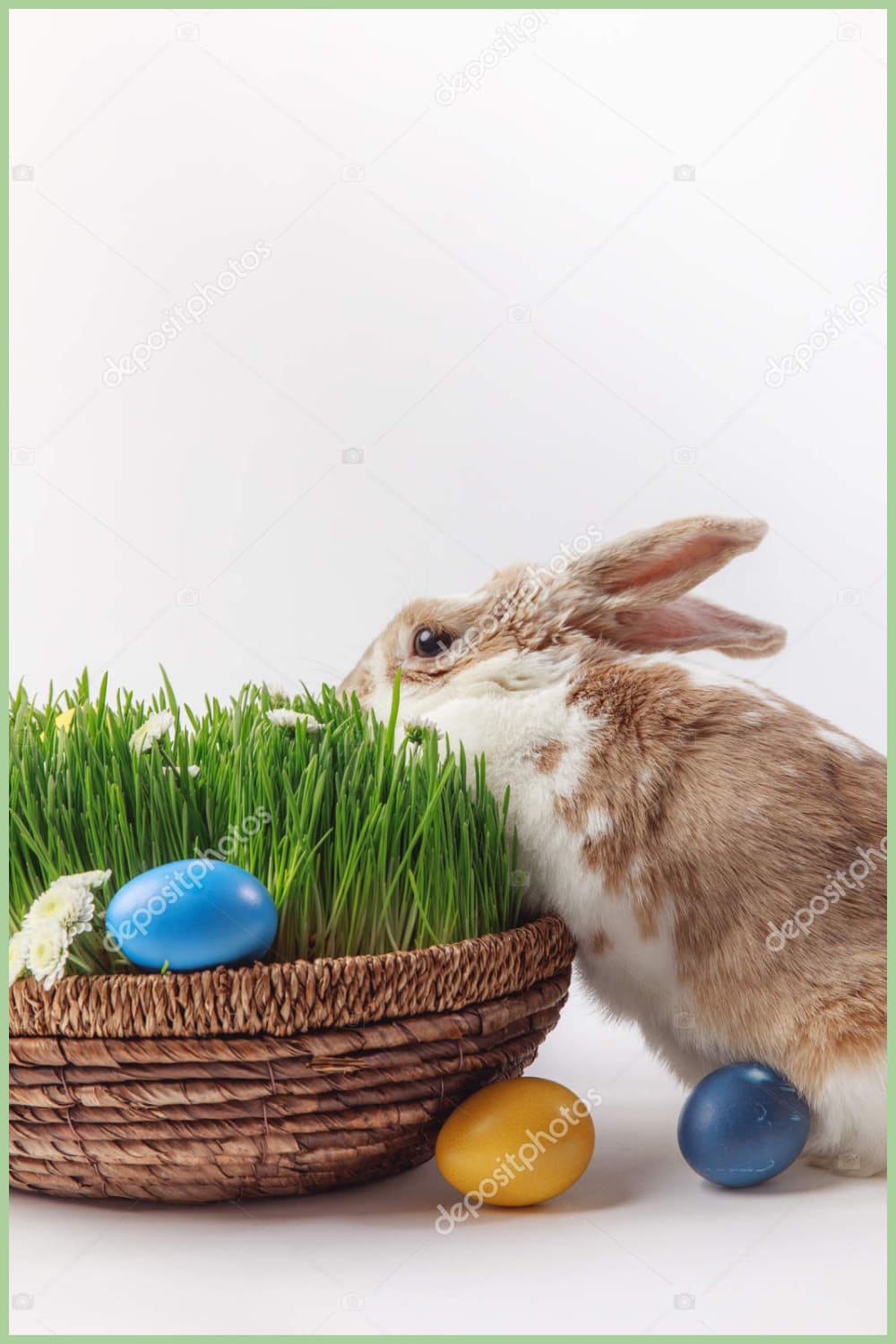 Rabbit near easter basket with grass and eggs, easter concept.
