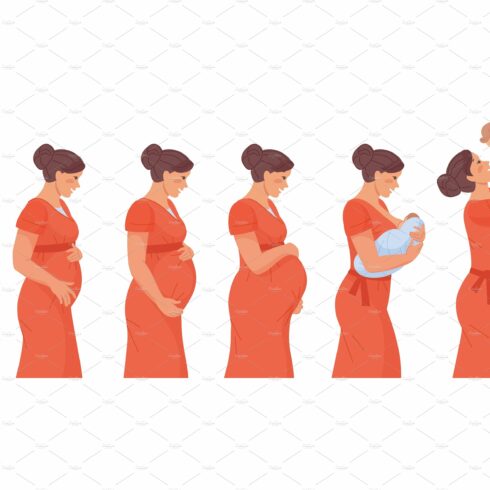 Stages of pregnancy. Stage trimester cover image.