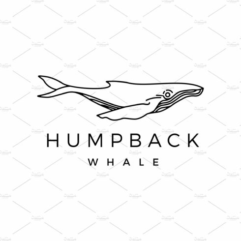 humpback whale outline monoline logo cover image.