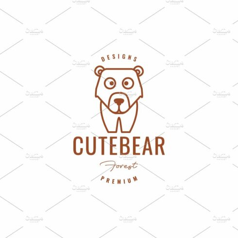 polar bear or grizzly bear or logo cover image.