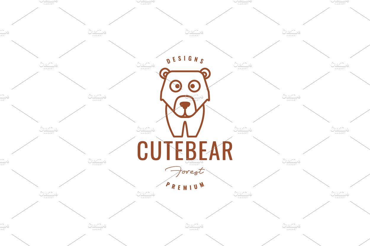 polar bear or grizzly bear or logo cover image.