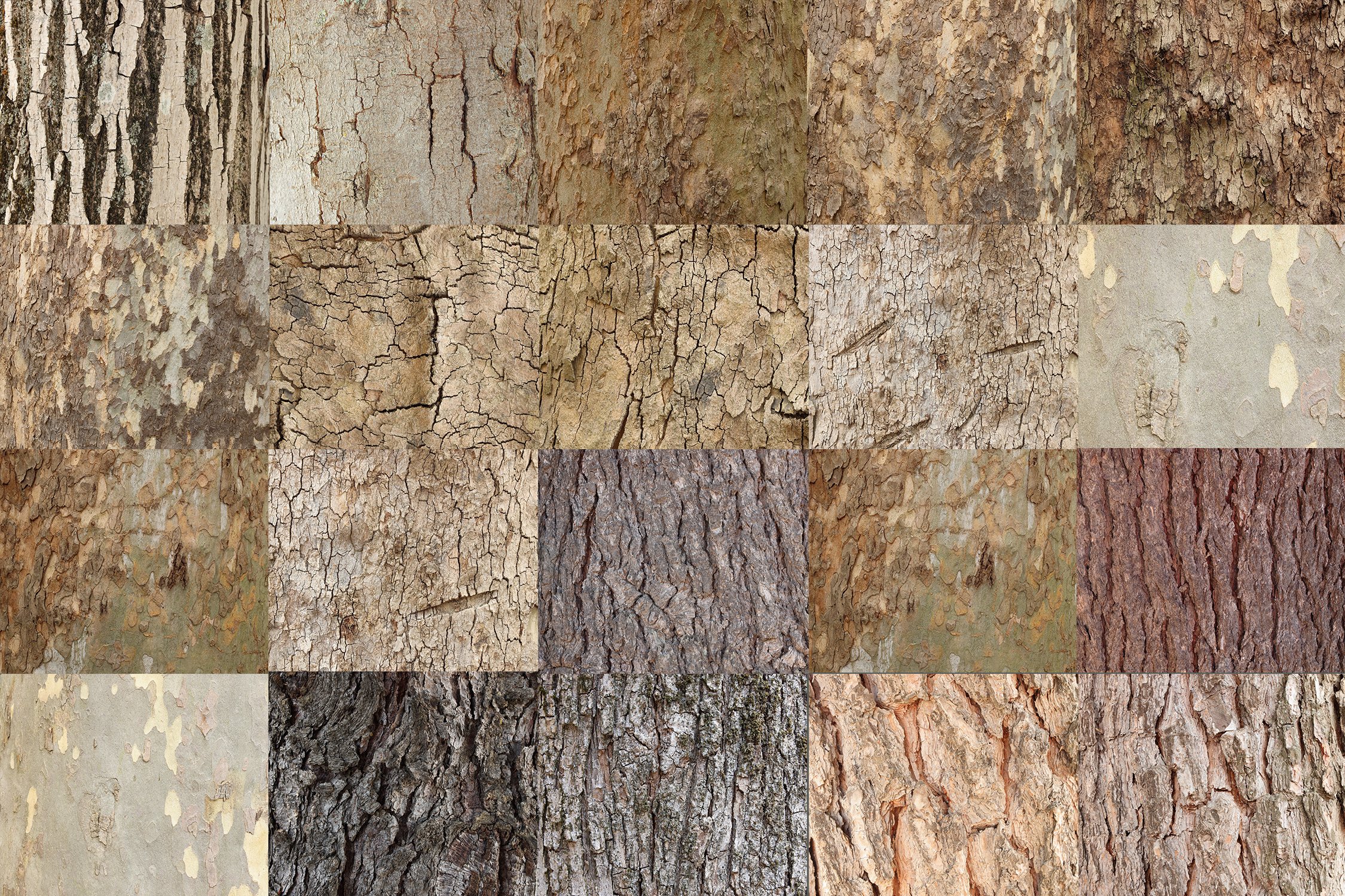 20 Tree Bark Textures preview image.