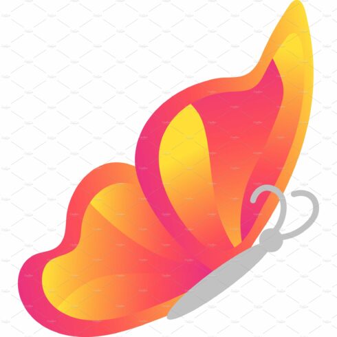 Butterfly vector insect icon cover image.
