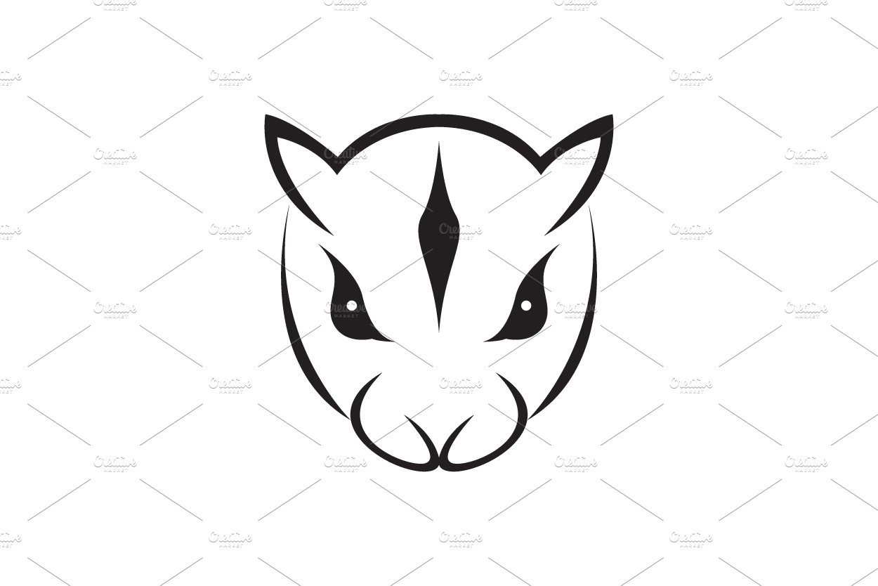 face cute flying squirrel logo cover image.