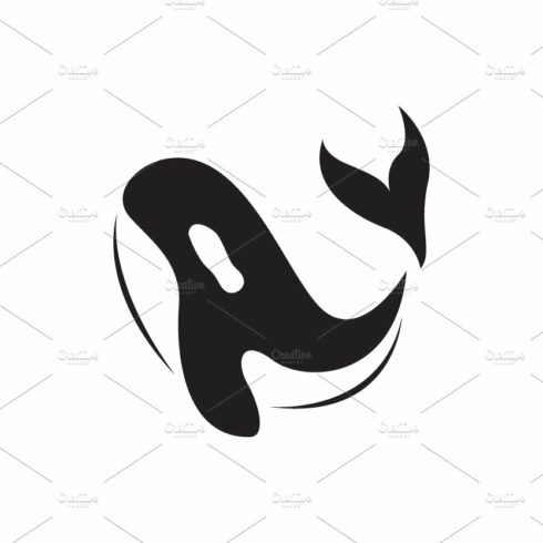 beauty orca whale jump logo design cover image.