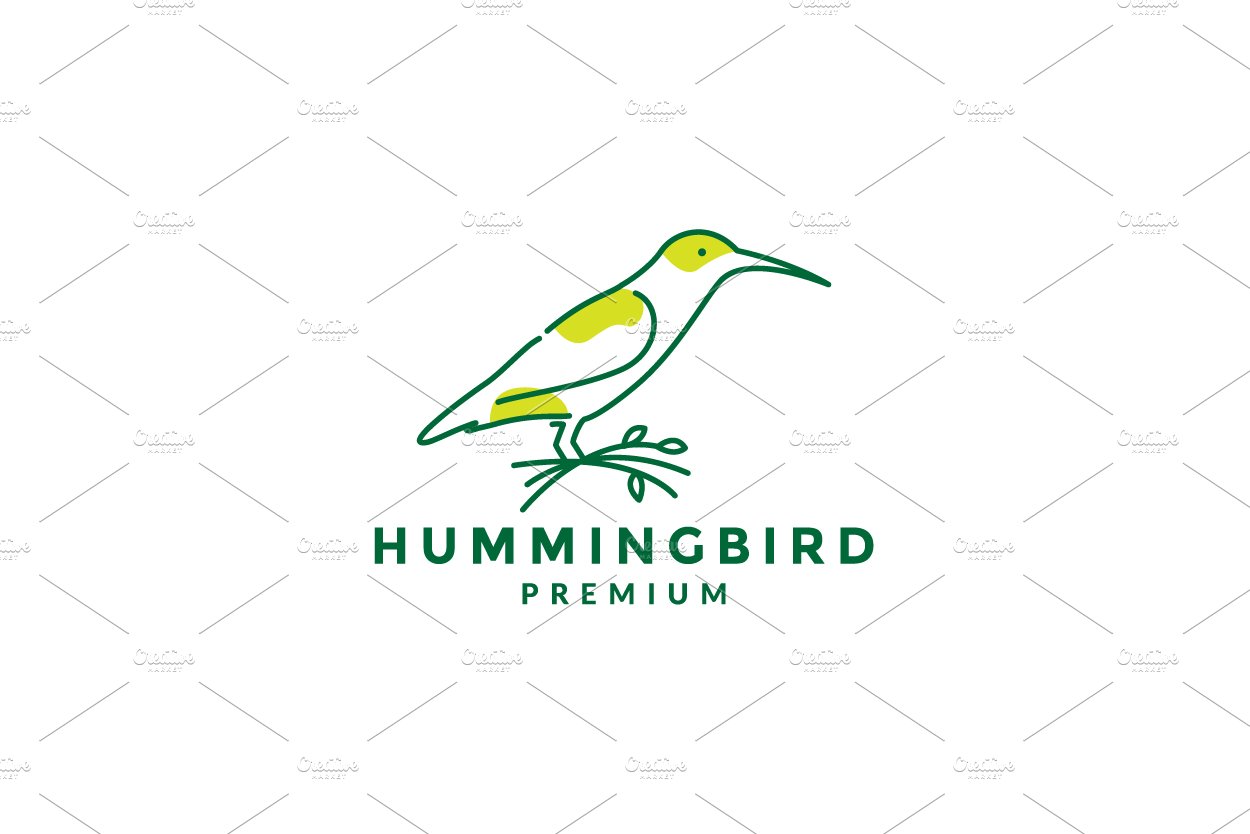 lines art abstract hummingbird logo cover image.