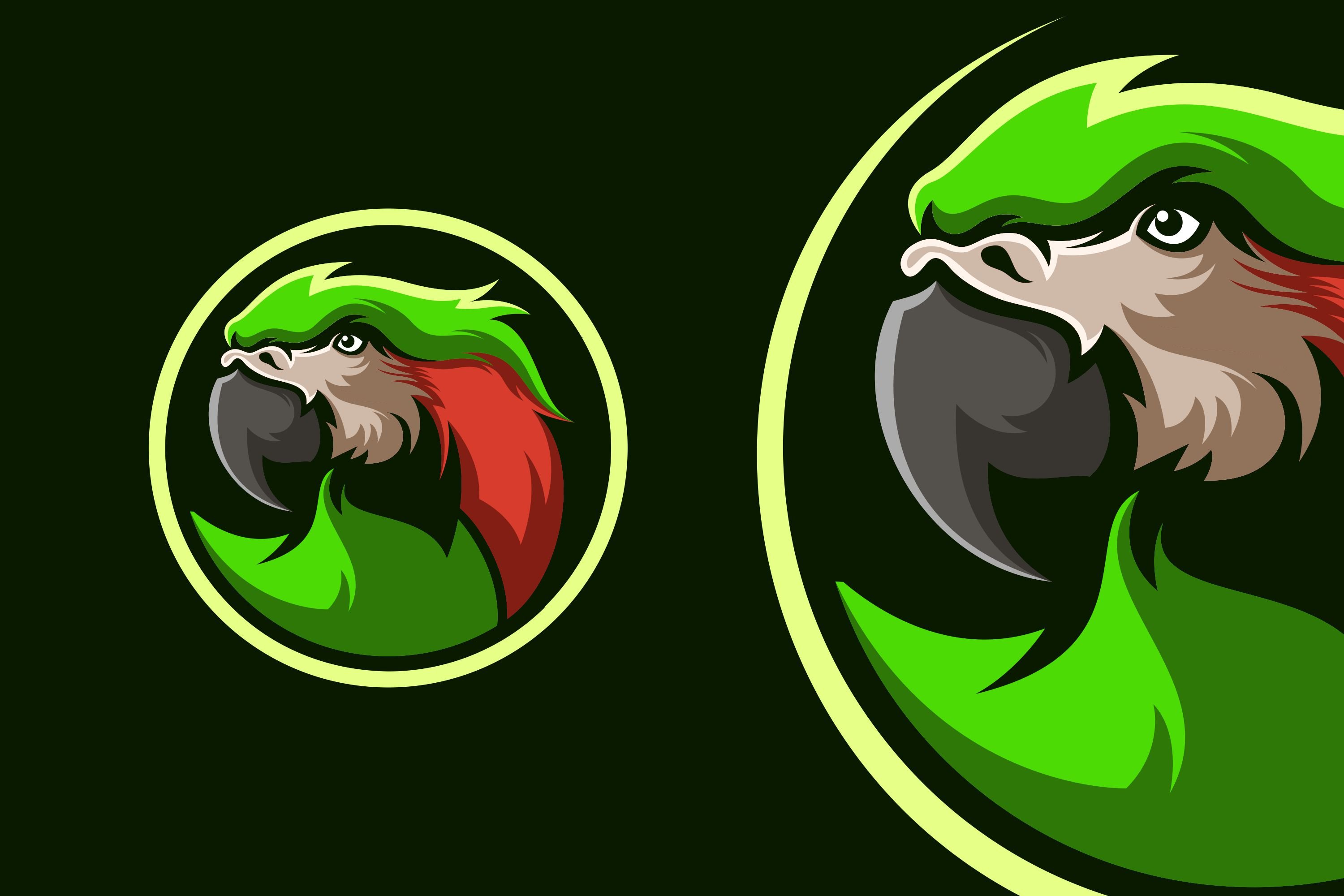 parrots logo design cover image.