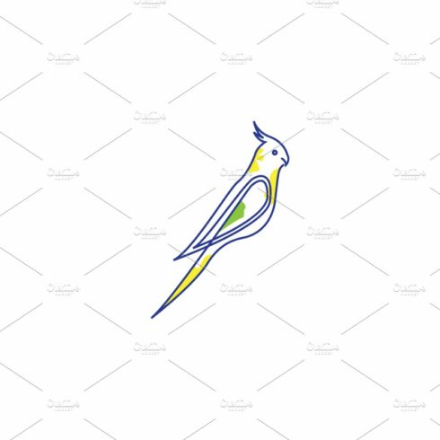 bird colorful parakeet logo cover image.