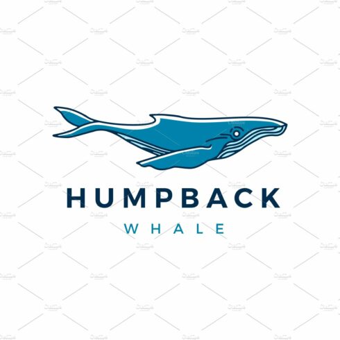 humpback whale logo vector icon cover image.