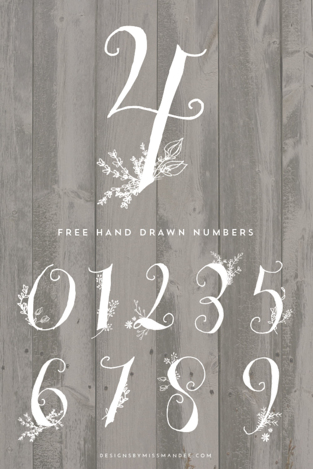 An example of a STUNNING HAND DRAWN NUMBERSBY MANDEE font in white with flowers.