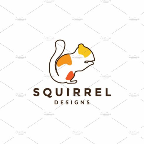 abstract colorful squirrel logo cover image.