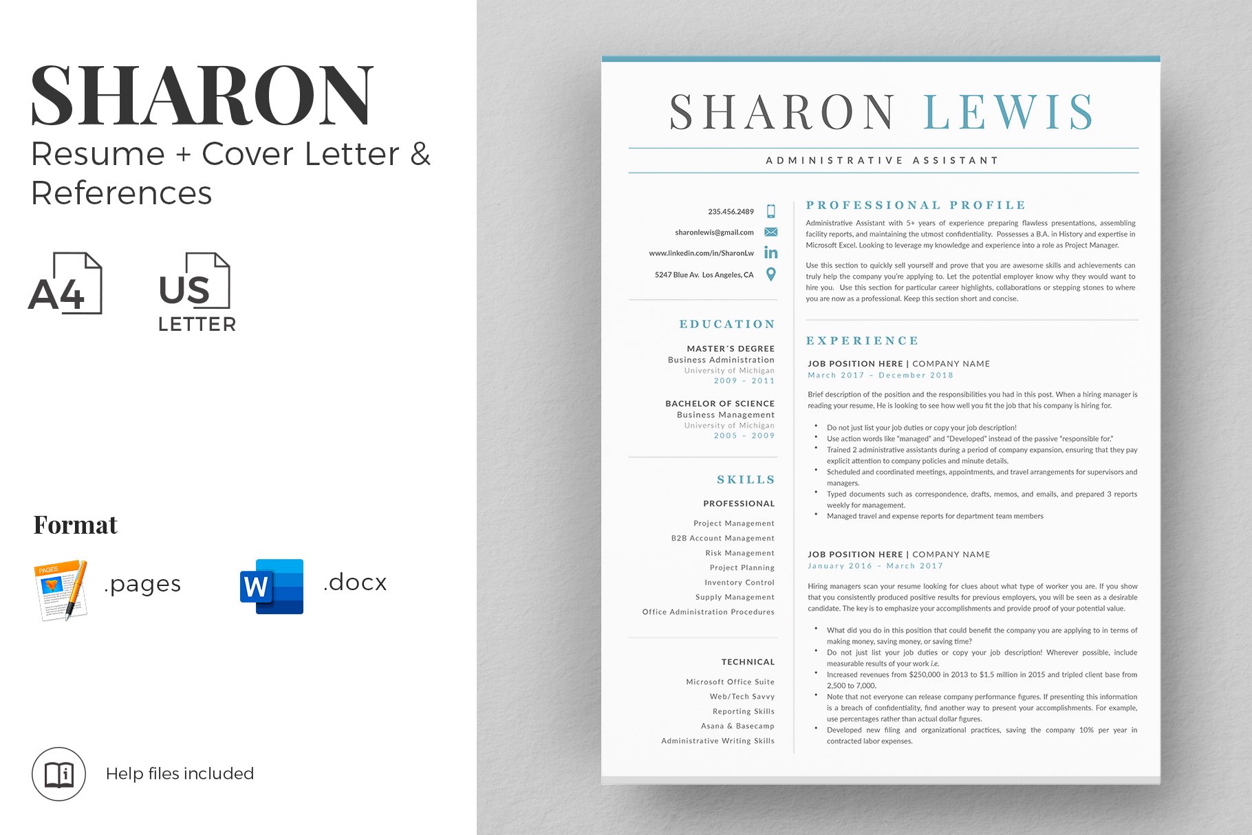 Professional Resume Format Example cover image.