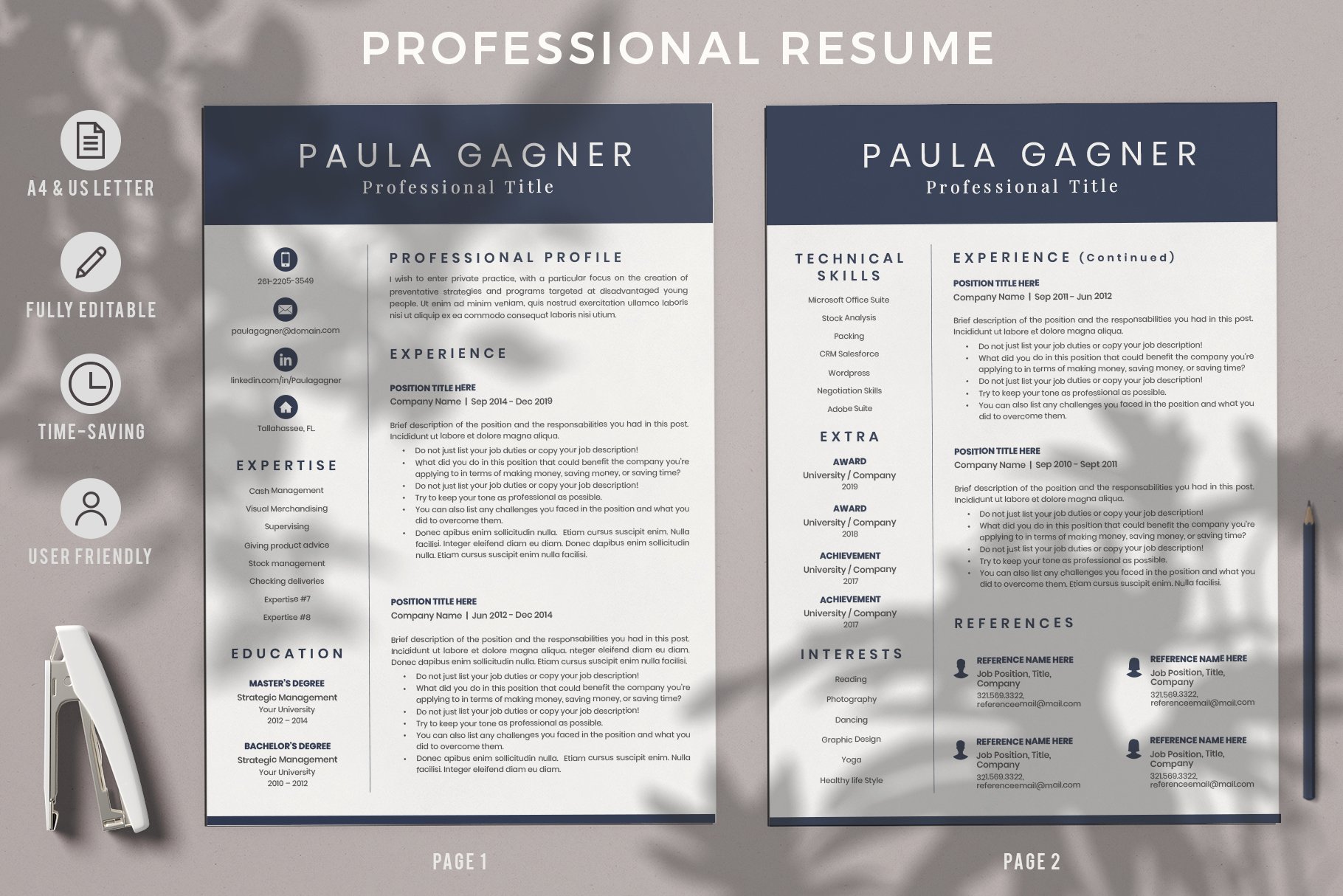 Accountant Resume CV with Experience preview image.