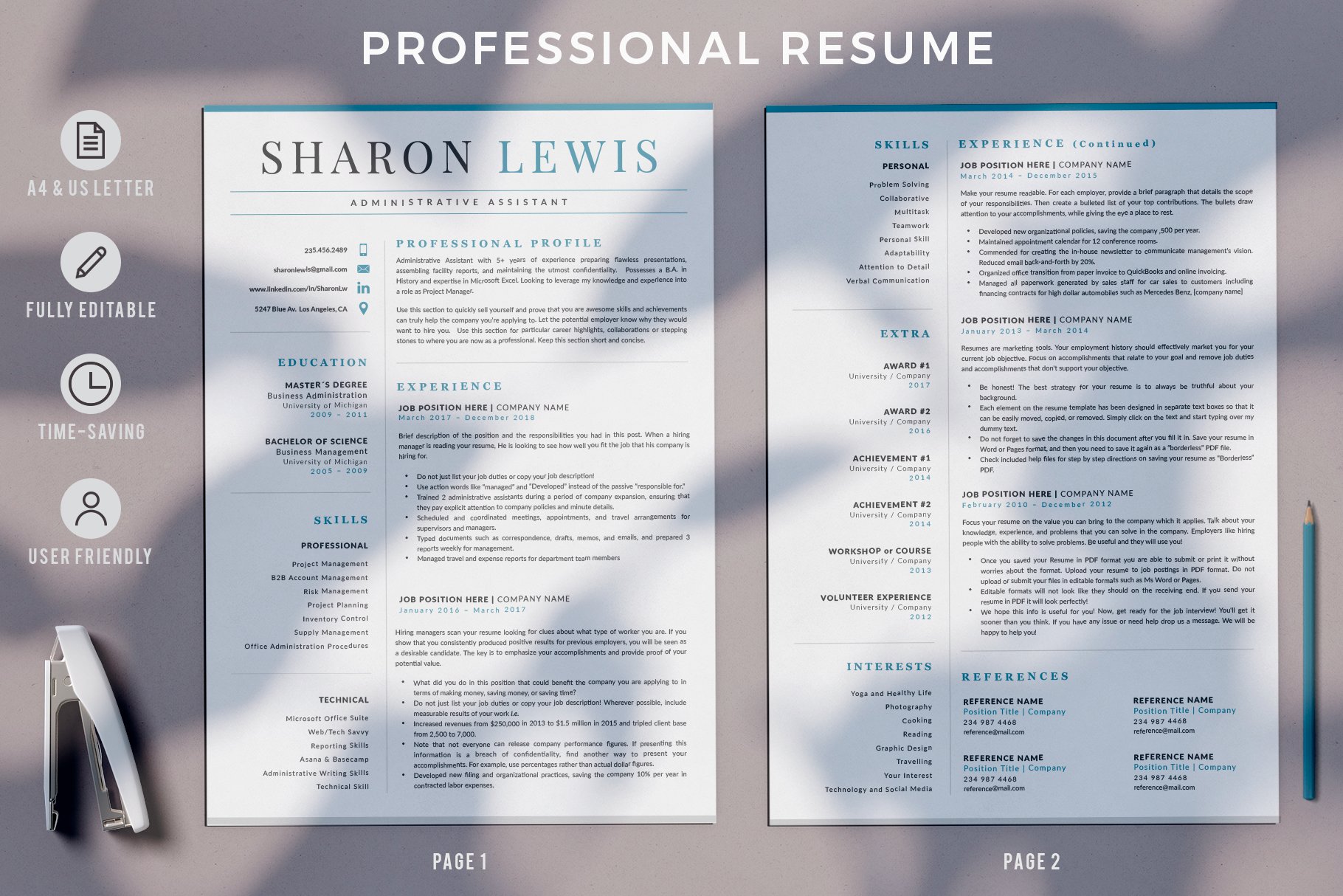 Professional Resume Format Example preview image.