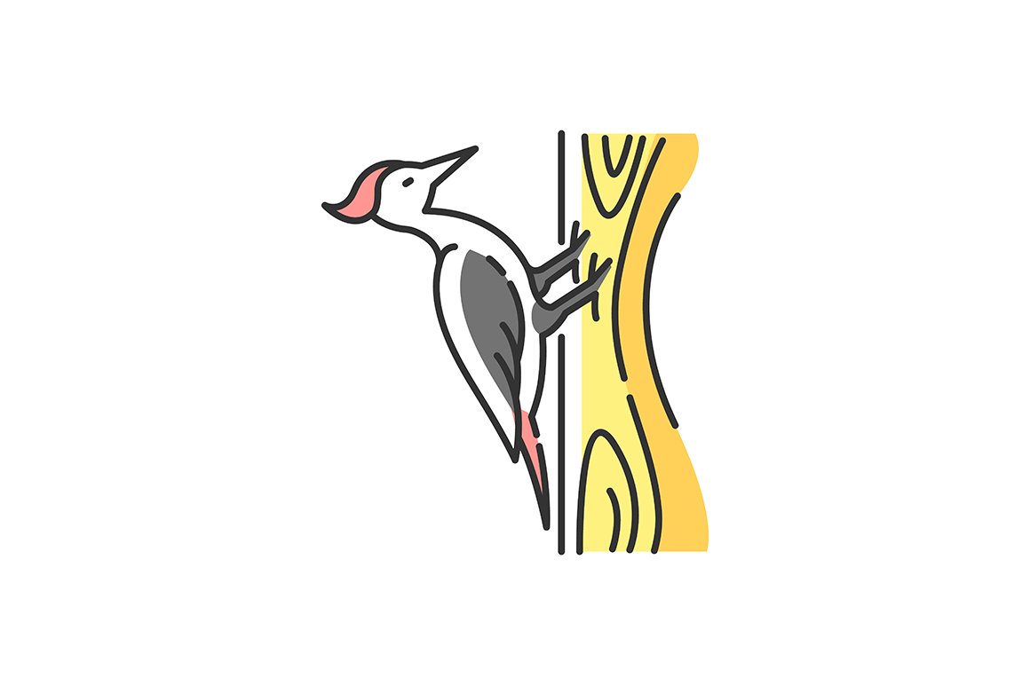 Woodpecker RGB color icon cover image.