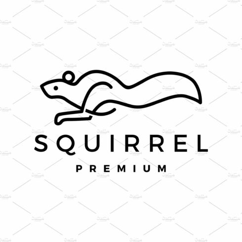 squirrel logo vector icon cover image.