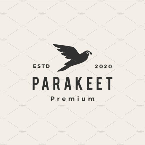 parakeet hipster vintage logo vector cover image.