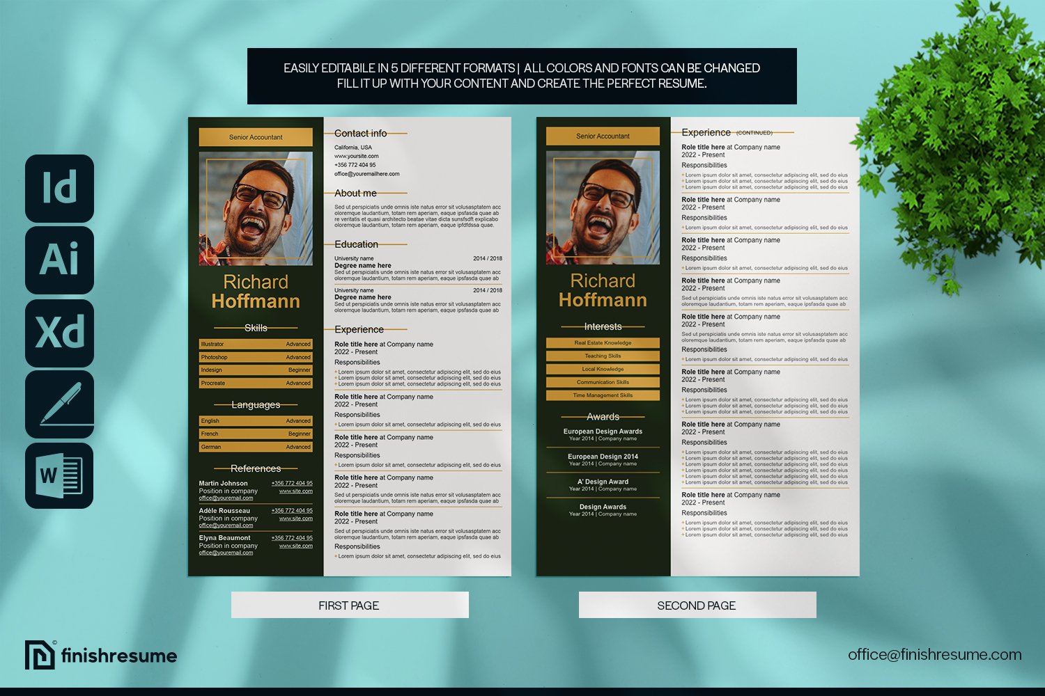 Senior accountant resume template preview image.