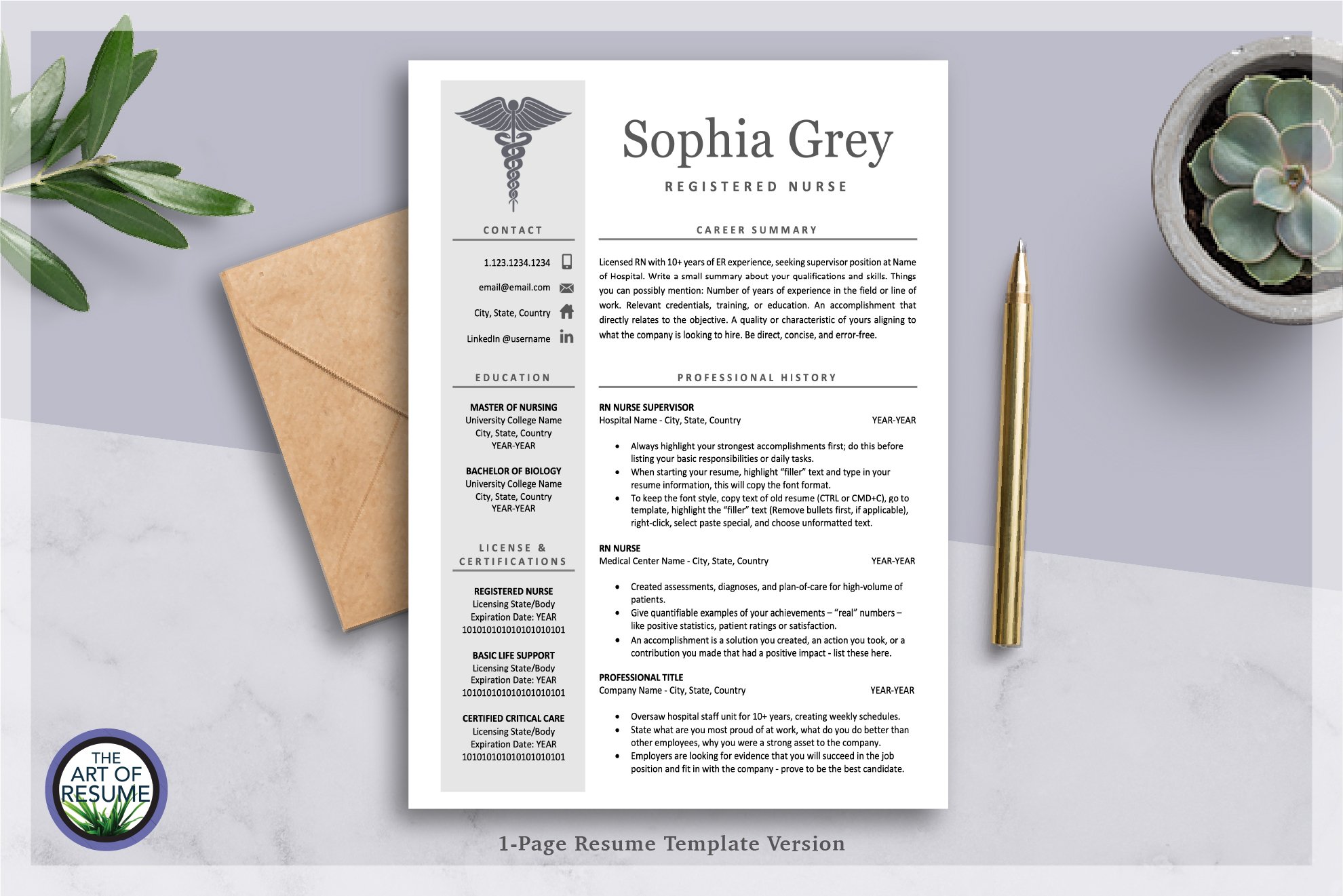 Nursing Medical Resume CV Template preview image.