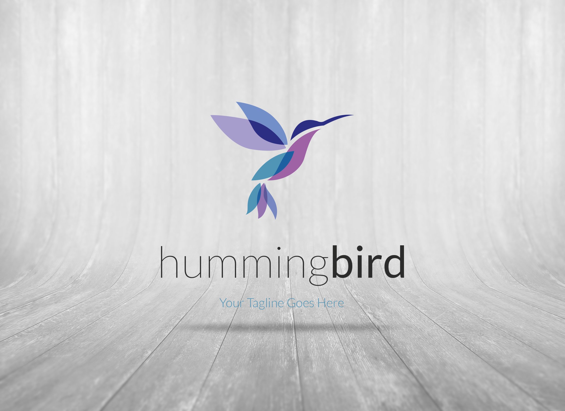 hummingbird logo preview image.