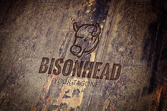 Bison Head preview image.