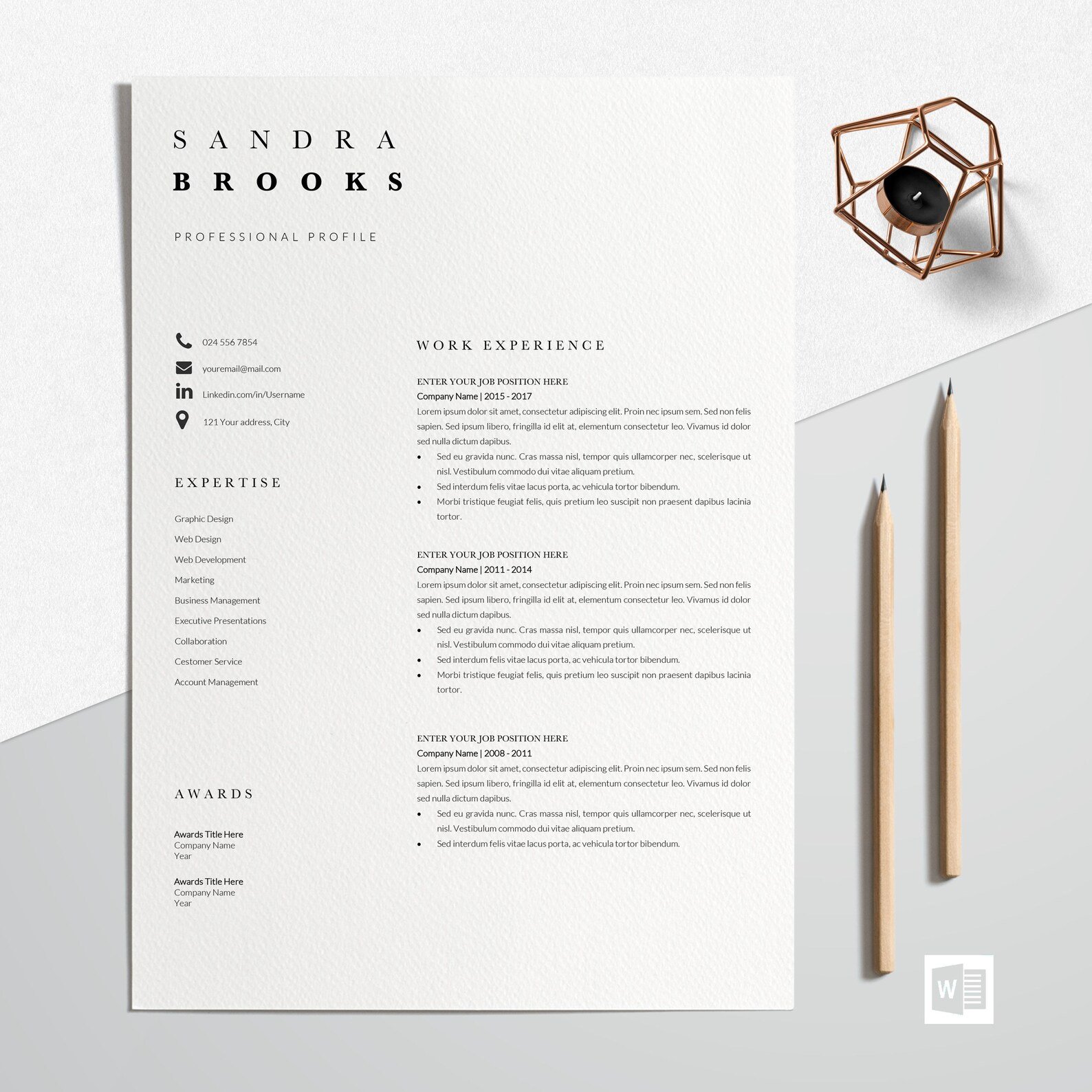 Professional Resume Design Word preview image.