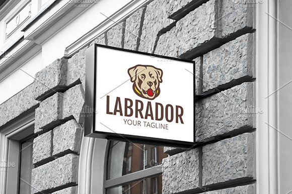 Labrador preview image.