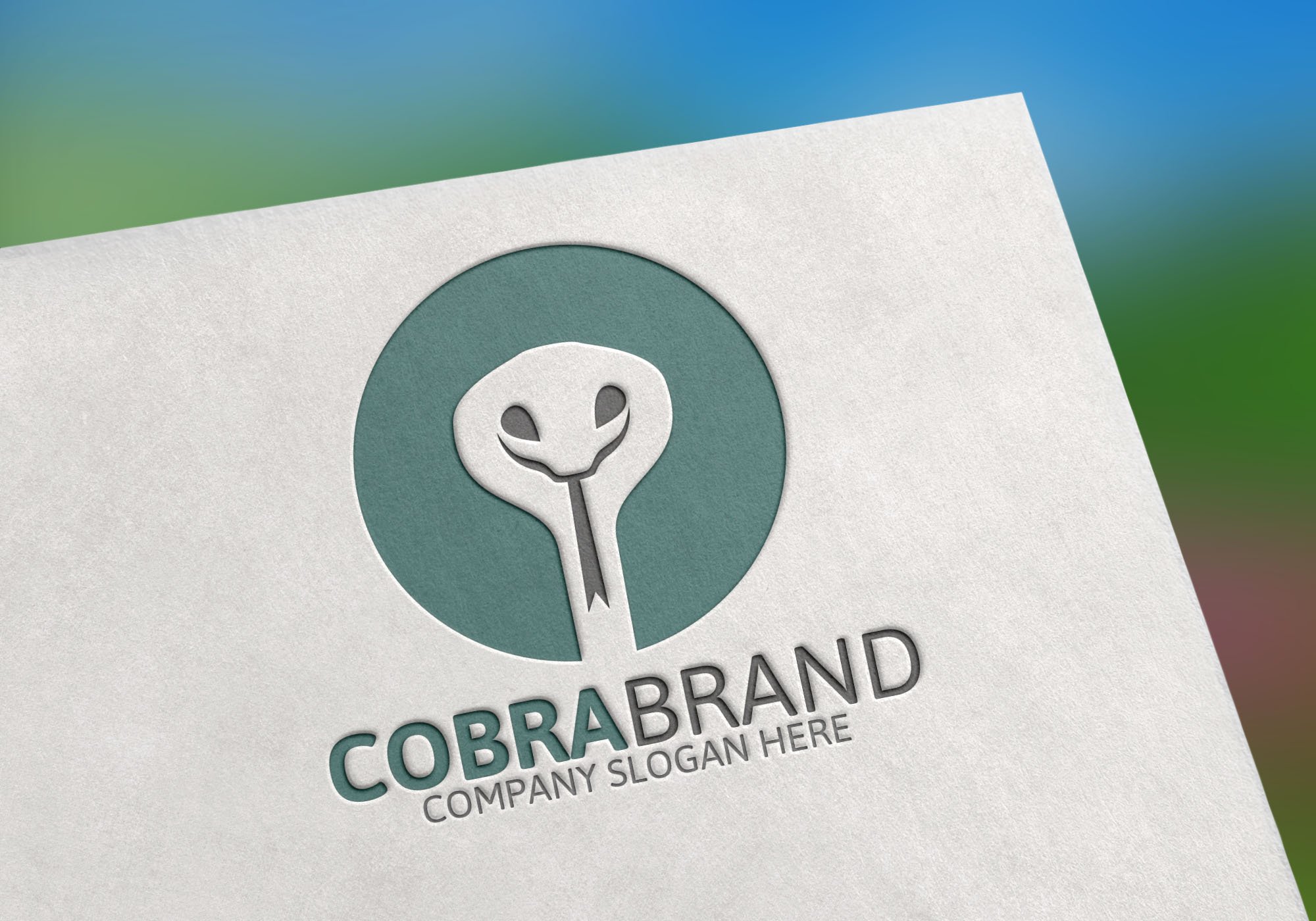 Cobra Brand Logo cover image.