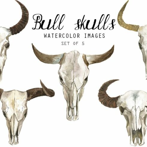 Watercolor Bull Skulls cover image.