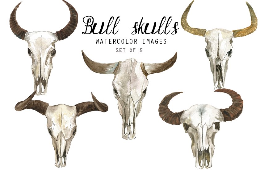 Watercolor Bull Skulls cover image.