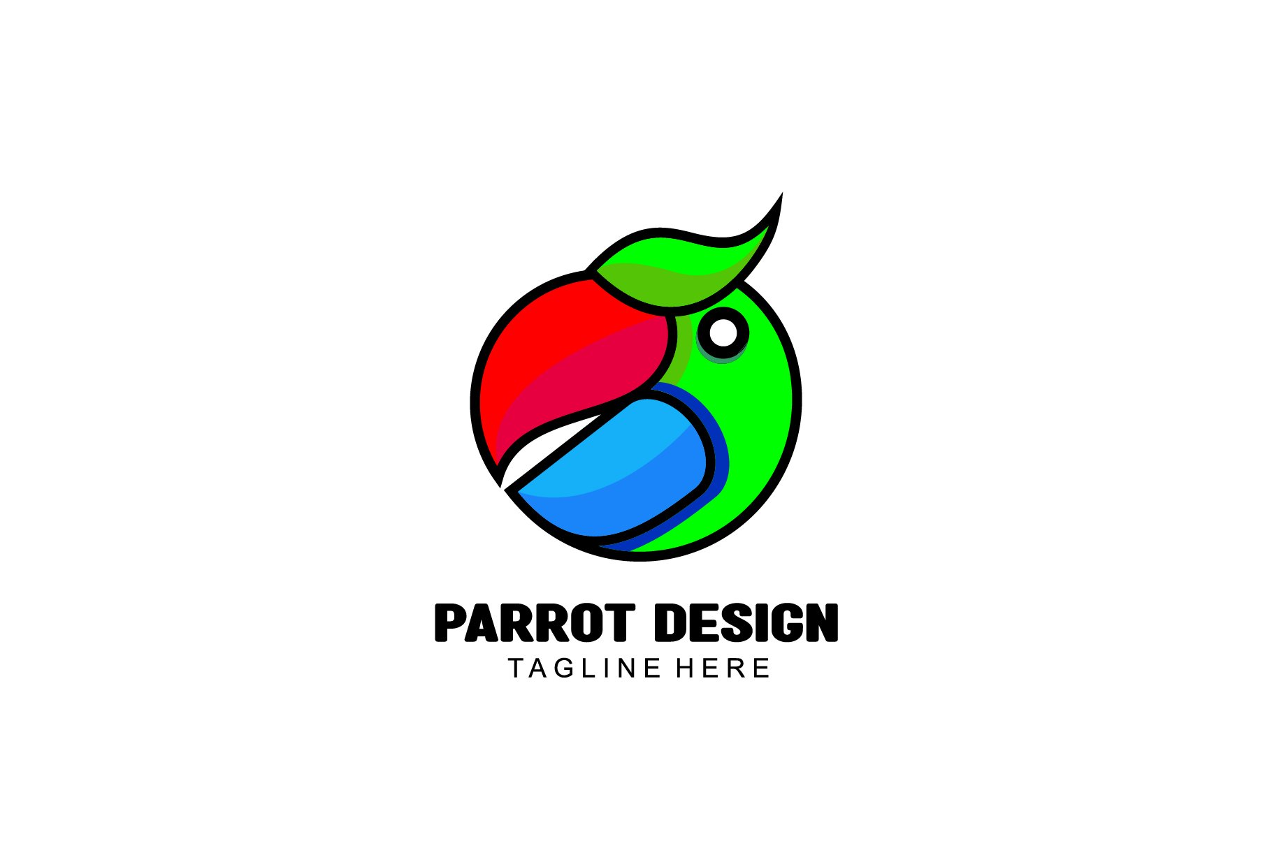 illustration design bird parrot grad cover image.