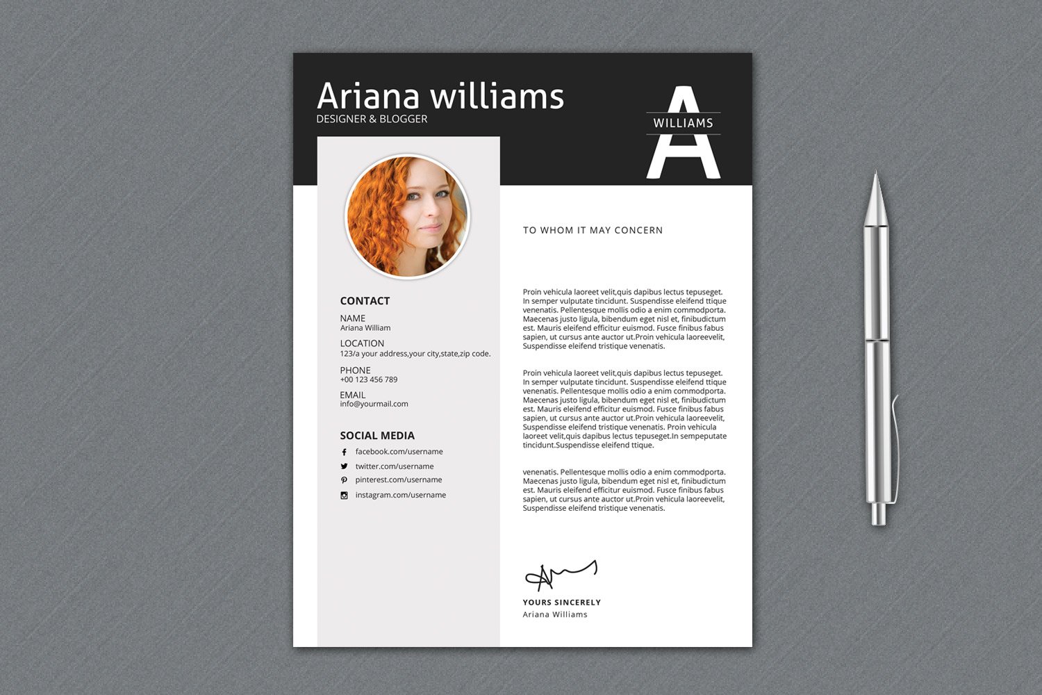 Professional Resume Template | V016 preview image.