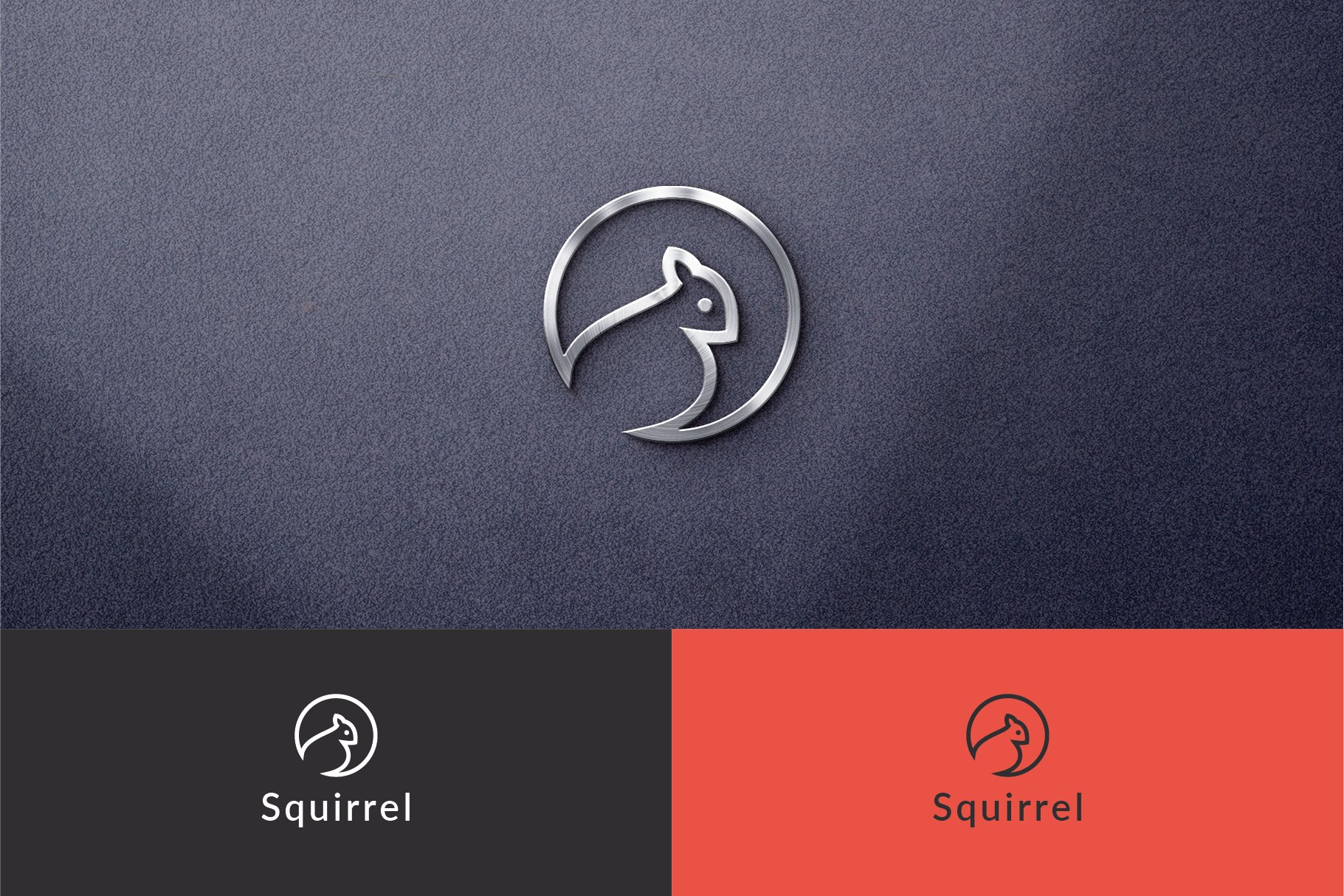Squirrel Logo Template cover image.