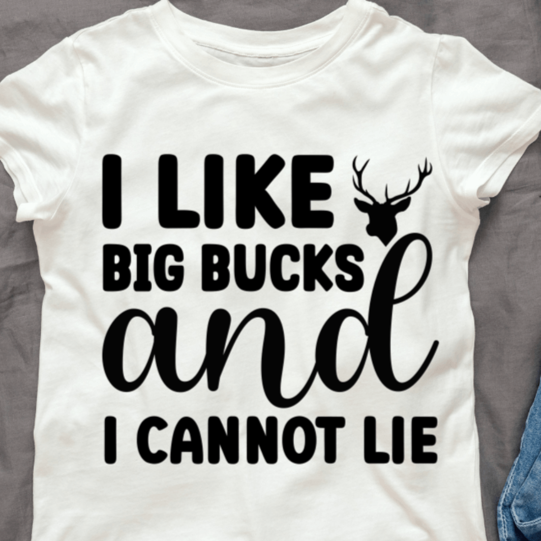 T - shirt that says i like big bucks and i cannot't lie.