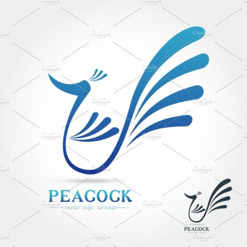 Peacock logo abstract design cover image.