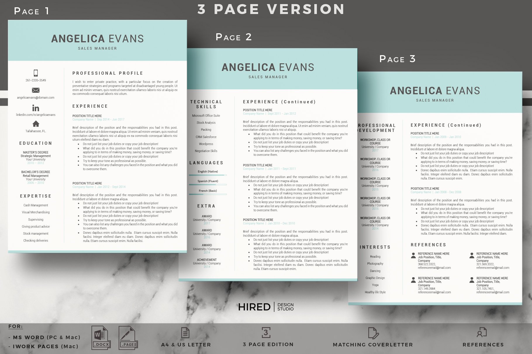 3 page resume word ms office cv template 589