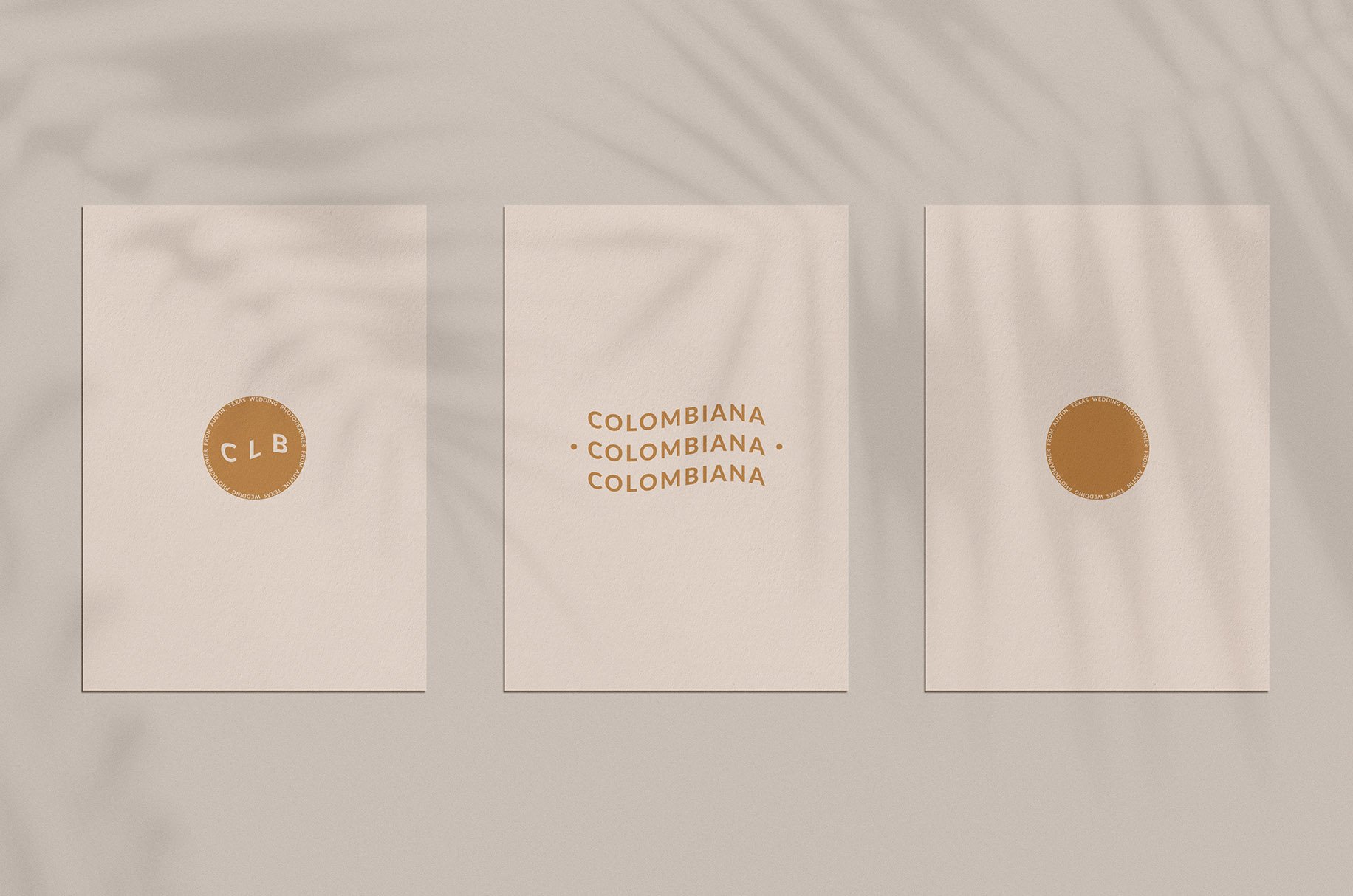 Colombiana Branding Kit preview image.
