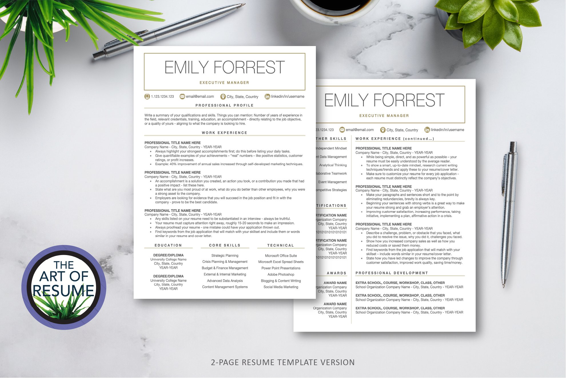 3 two resume template 491