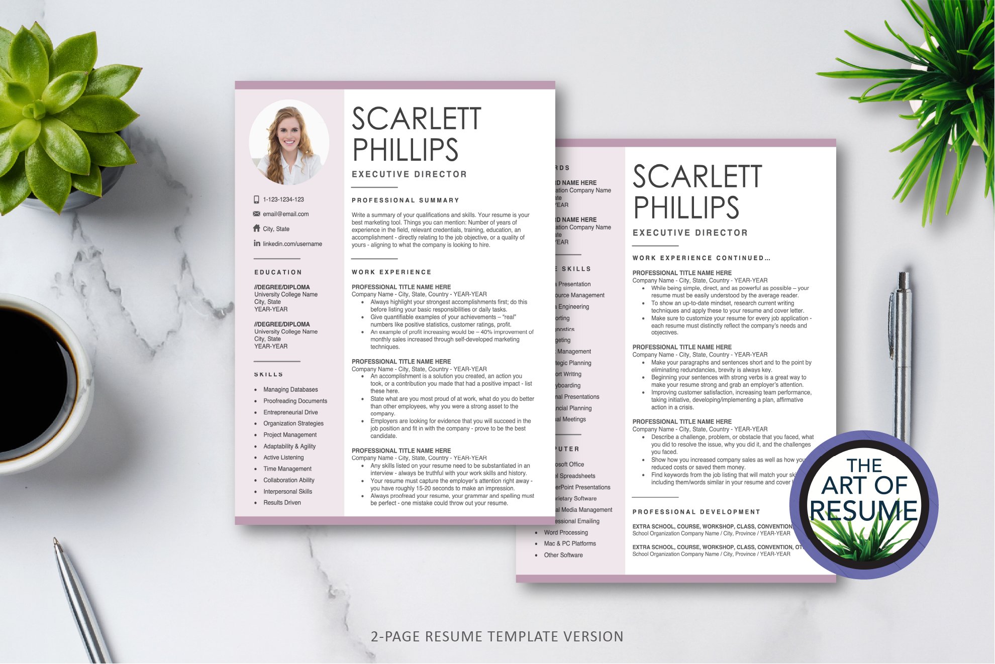 3 two resume template 694