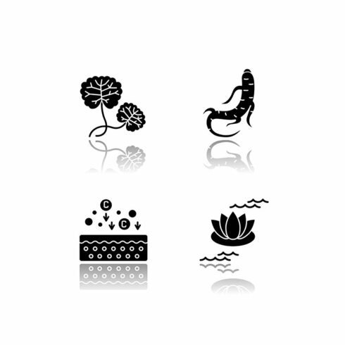 Cosmetic ingredient glyph icons set cover image.