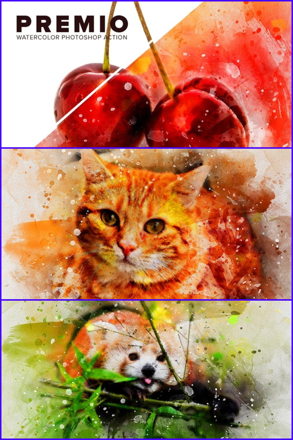 Photos of cherry, cat and fox with picture effects.