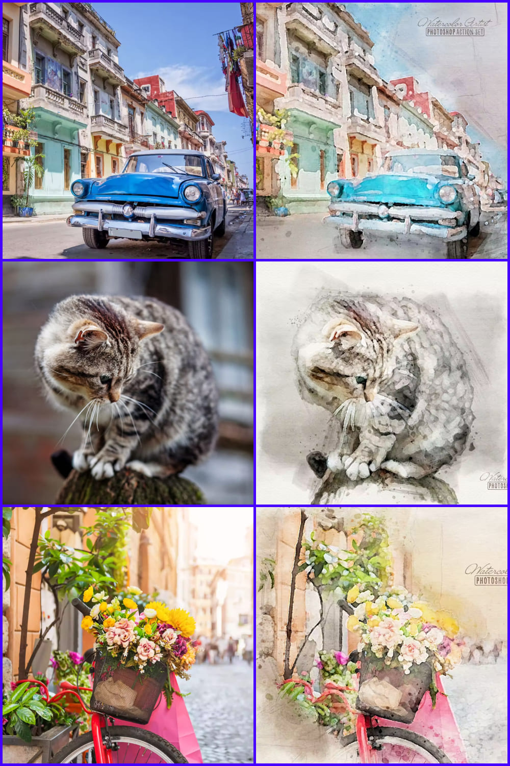 Collage of photos of a car, a cat and a bicycle in different processing options.