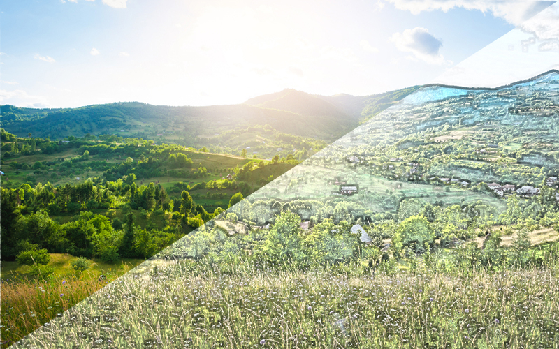 Picture of a grassy field with mountains in the background.